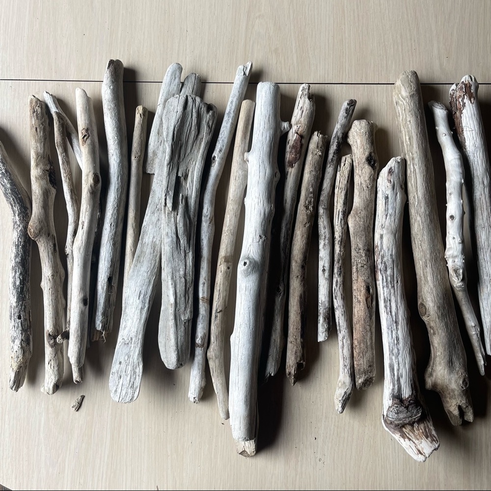 12 Count Box 12" - 16" Oregon Driftwood Sticks